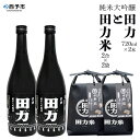 【ふるさと納税】＜純米大吟醸 田力（750ml×2本）と田力米（2合×2袋）セット＞※1か月以内に順次出荷します。日本酒 お米 酒米 松山三井 にこまる 特産品 晩酌 お祝い 内祝い 家飲み 宅飲み 中辛口 元見屋酒店 愛媛県 西予市【冷蔵】