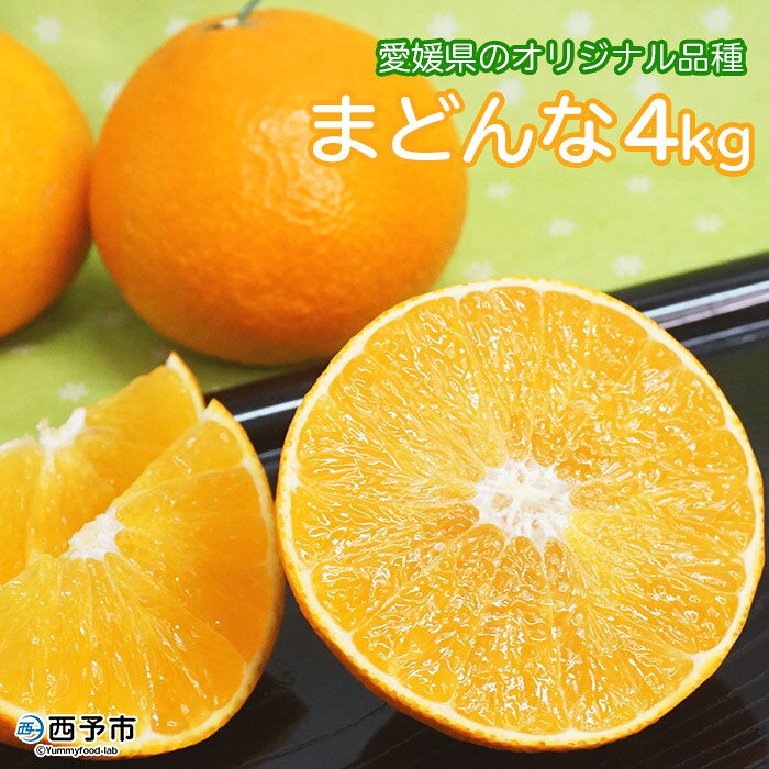 数量限定 紅まどんなと同品種！＜まどんな 約4kg（L～2Lサイズ）＞ 果物 フルーツ くだもの 柑橘 みかん マドンナ オレンジ 愛媛果試第28号 特産品 西宇和 みかんYA岡辰 愛媛県 西予市【常温】『2023年12月中旬から順次出荷予定』