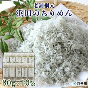 【ふるさと納税】＜老舗網元 浜田の ちりめん 計800g(80g×10袋)＞ かたくちいわし 小魚 カルシウム 乾物 小分け 国産 マルヨシ水産 特産品 愛媛県 西予市 【冷蔵】『1か月以内に順次出荷予定』