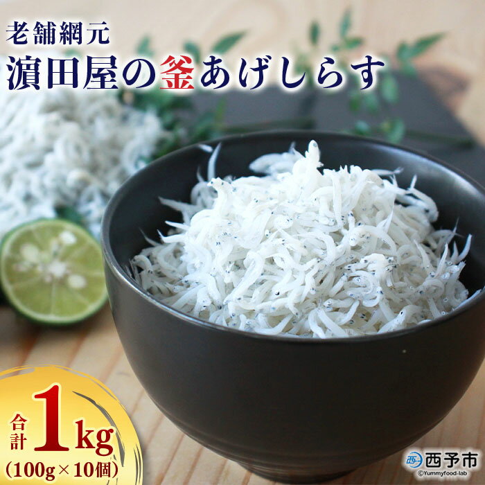 [老舗網元 濱田屋の釜あげしらす 合計1kg(100g×10個)] 釜揚げ シラス じゃこ 海鮮 海産物 丼 おにぎり 具材 ごはんのお供 おつまみ おやつ 小魚 カルシウム 乾物 小分け 国産 マルヨシ水産 特産品 愛媛県 西予市[冷凍]『1か月以内に順次出荷予定』