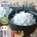 【ふるさと納税】<老舗網元 濱田屋の釜あげしらす 計1kg(100g×10袋)/計1.1kg(100g×11袋)> 数量限定 化粧箱 簡易包装 選べる 釜揚げ ...