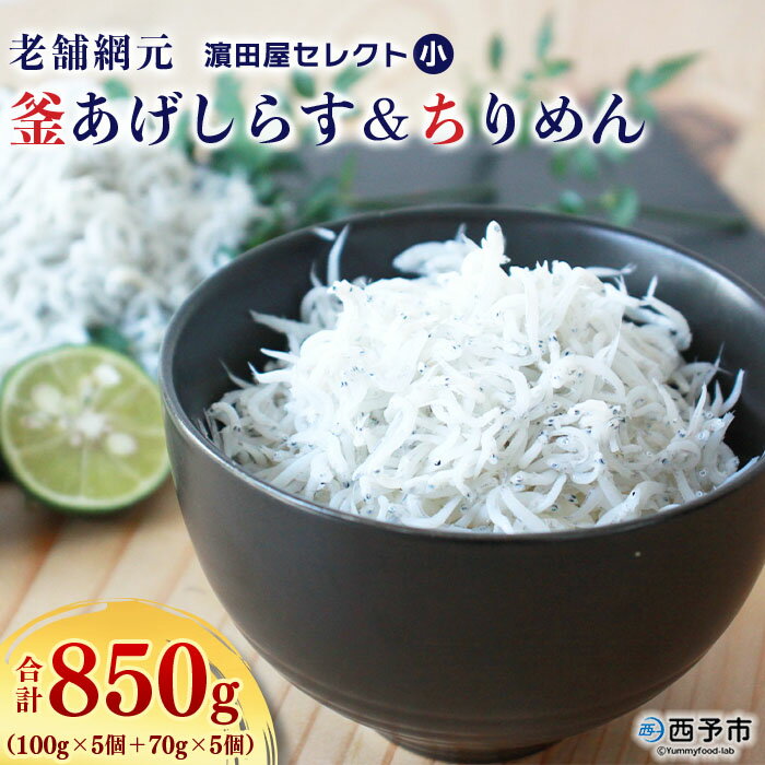 [老舗網元 濱田屋セレクト小 釜あげしらす(100g×5個)&ちりめん(70g×5個) 合計850g] 釜揚げ シラス じゃこ 海鮮 海産物 丼 おにぎり 具材 ご飯 おつまみ おやつ 小魚 乾物 国産 マルヨシ水産 特産品 愛媛県 西予市[冷凍]『1か月以内に順次出荷予定』