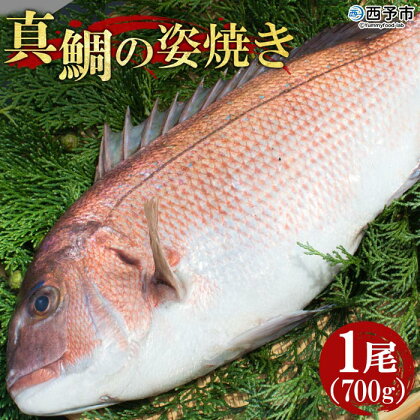 ＜真鯛の姿焼き 1尾(700g)＞※1か月以内に順次出荷 まだい マダイ たい お祝い 記念日 養殖 特産品 松下海産 魚 愛媛県 西予市 【冷凍】