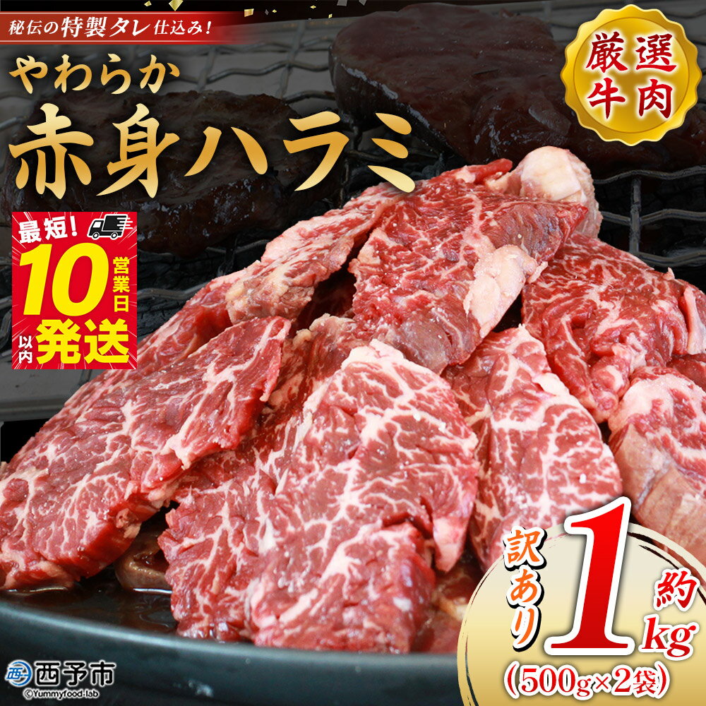 [秘伝の特製タレ仕込み!やわらか赤身ハラミ 約1kg(500g×2)] 訳あり はらみ ハラミ 赤身 大容量 牛肉 お肉 焼肉 BBQ 味付き タレ漬け 甘辛 レシピ 丼 献立 惣菜 おかず 簡単 グルメ 株式会社丸和 愛媛県 西予市[冷凍]『最短10営業日以内に順次出荷』
