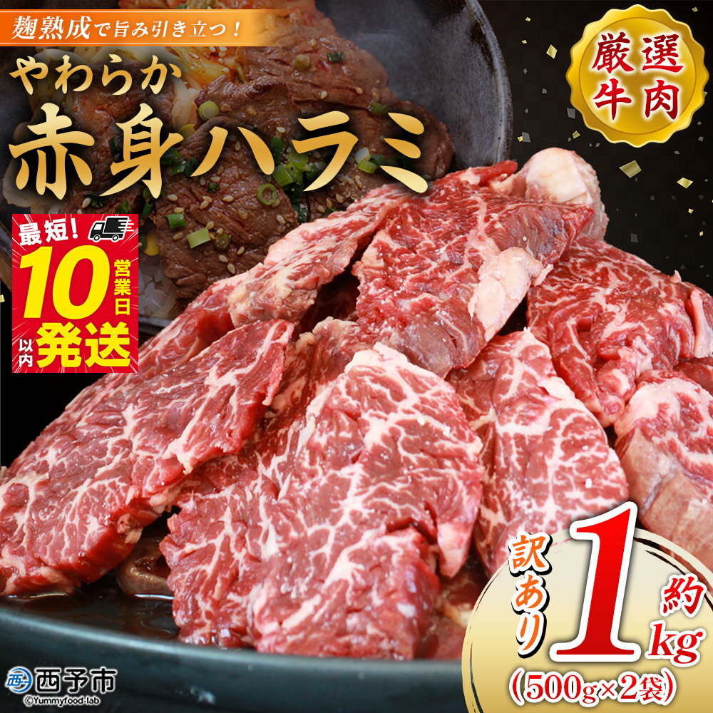 [麹熟成で旨み引き立つ!やわらか赤身ハラミ 約1kg(500g×2)] 訳あり はらみ ハラミ 赤身 大容量 牛肉 お肉 焼肉 BBQ 味付き 麹 コスパ 塩味 レシピ 丼 献立 惣菜 おかず 簡単 グルメ 株式会社丸和 愛媛県 西予市[冷凍]『最短10営業日以内に順次出荷』