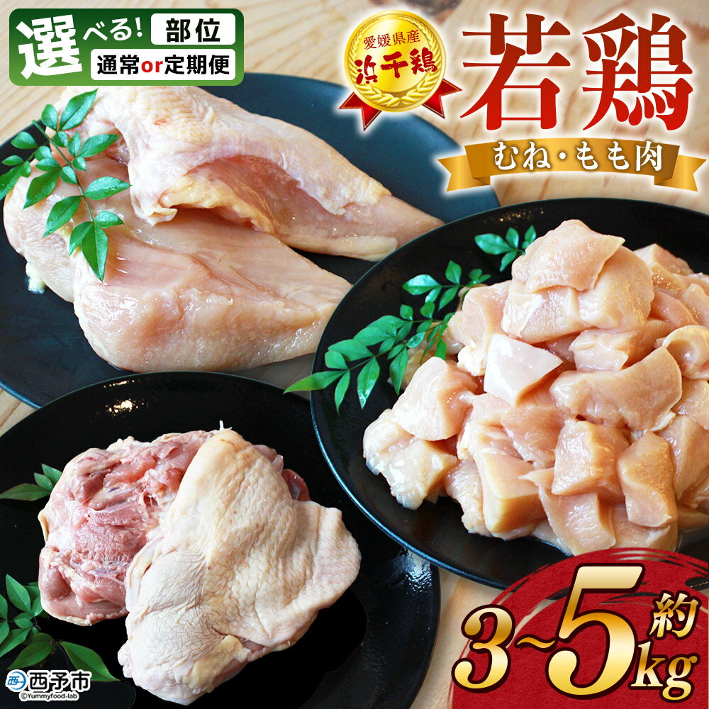 部位・発送時期が選べる[銘柄鶏 浜千鶏 愛媛県産 若鶏むね・もも肉 3〜5kg] 国産 鶏肉 鳥肉 とり チキン むね肉 ムネ もも肉 モモ はまちどり 精肉 にく ブロック 切り身 料理 お弁当 おかず マルハフーズ 愛媛県 西予市 [冷凍]『1か月以内に順次出荷』
