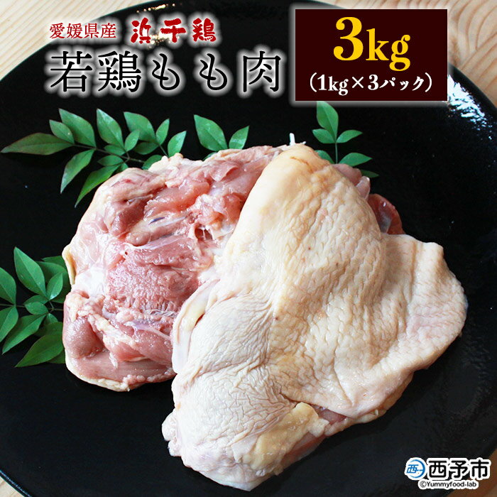14位! 口コミ数「0件」評価「0」＜銘柄鶏 浜千鶏 愛媛県産 若鶏もも肉 3kg（1kg×3）＞ 国産 鶏肉 鳥肉 とり チキン モモ肉 はまちどり ブロック 精肉 にく 料･･･ 