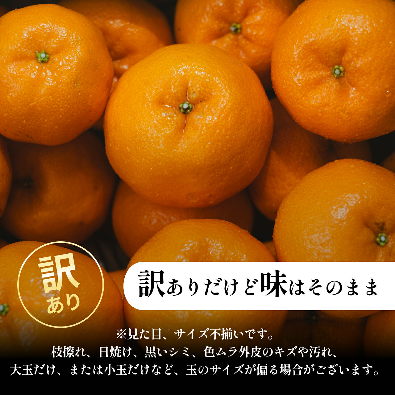 【ふるさと納税】＜ポンカン（訳あり）合計約2.5/3.5/5.5kg＞『2027年1月上旬～1月下旬迄に順次出荷予定』訳アリ わけあり ぽんかん 濃厚 蜜柑 ミカン 果汁 果物 くだもの フルーツ 柑橘 あまい 甘い 季節 旬の果物 特産品 お取り寄せ NOT FARM 愛媛県 西予市 【常温】 f382141-seiyo-10001562 愛媛県西予市 サンプル画像2