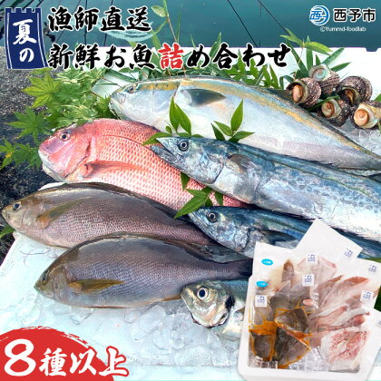 ＜漁師直送 夏の新鮮お魚詰め合わせ 8種以上＞ 魚 詰め合わせ 海鮮 海産物 海鮮セット イサキ 処理済み 麹漬け 明浜産 二ノ宮商事株式会社 愛媛県 西予市【冷凍】『2024年5月～9月末迄に順次出荷予定』