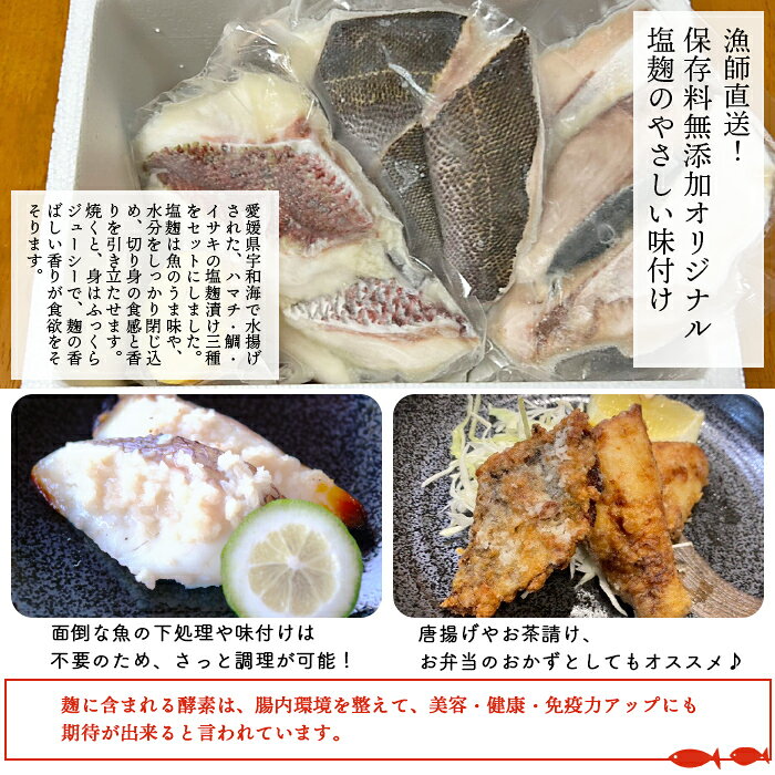 【ふるさと納税】＜漁師直送 保存料無添加 夏の塩麹 160g×3種セット＞『4月～9月末迄に順次出荷予定』 魚 詰め合わせ 海鮮 海産物 海鮮セット ハマチ 鯛 イサキ 焼くだけ 簡単調理 処理済み 明浜産 二ノ宮商事株式会社 愛媛県 西予市【冷凍】 f382141-seiyo-10000509 愛媛県西予市 サンプル画像2