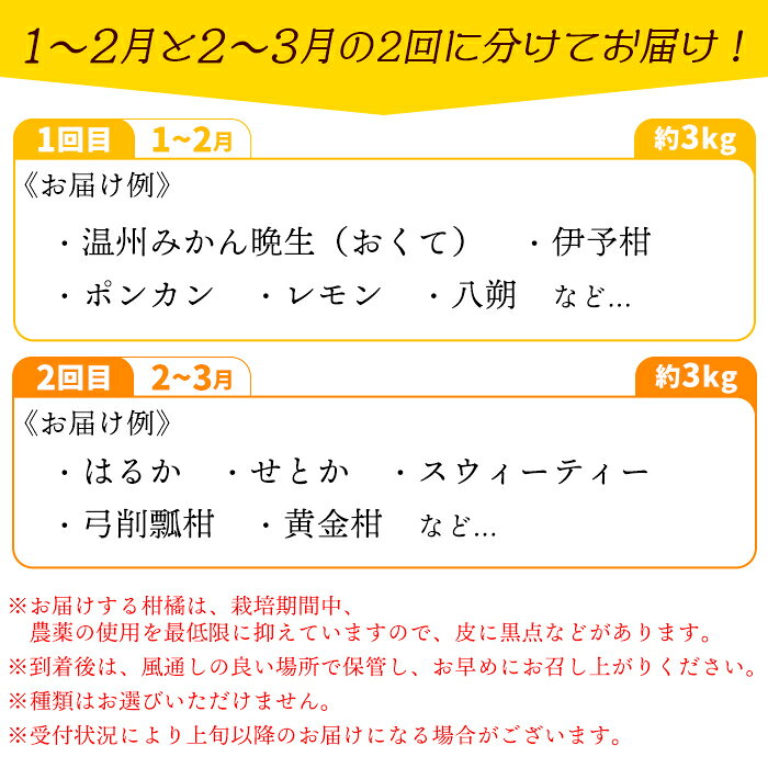 【ふるさと納税】＜旬をお届け！季節の柑橘詰合せ 2回定期便（約3kg×2回 合計約6kg）＞みかん ミカン 詰め合わせ 蜜柑 果物 フルーツ 食べ比べ 特産品 二ノ宮商事 愛媛県 西予市【常温】『1回目：2027年1月下旬頃／2回目：2027年3月上旬頃迄に順次出荷予定』 f382141-seiyo-10000560 愛媛県西予市 サンプル画像3