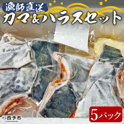 ＜漁師直送 カマ・ハラス セット＞ 魚 詰め合わせ 海鮮 海産物 海鮮セット ハマチ 鯛 サワラ 急速冷凍 二ノ宮商事株式会社 愛媛県 西予市 【冷凍】『1か月以内に順次出荷』