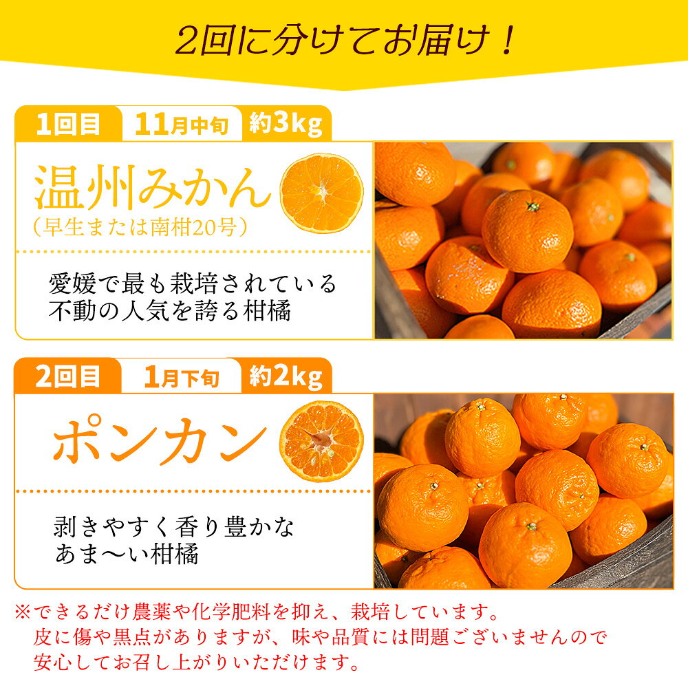 【ふるさと納税】＜旬をお届け！季節の柑橘 2回定期便（温州みかん約3kg・ポンカン約2kg）＞ミカン ぽんかん 蜜柑 果物 フルーツ 2種類 食べ比べ 手軽 特産品 二ノ宮商事 国産 愛媛県 西予市【常温】『1回目：2026年11月中旬～／2回目：2027年1月下旬～順次出荷予定』 f382141-seiyo-10000761 愛媛県西予市 サンプル画像3