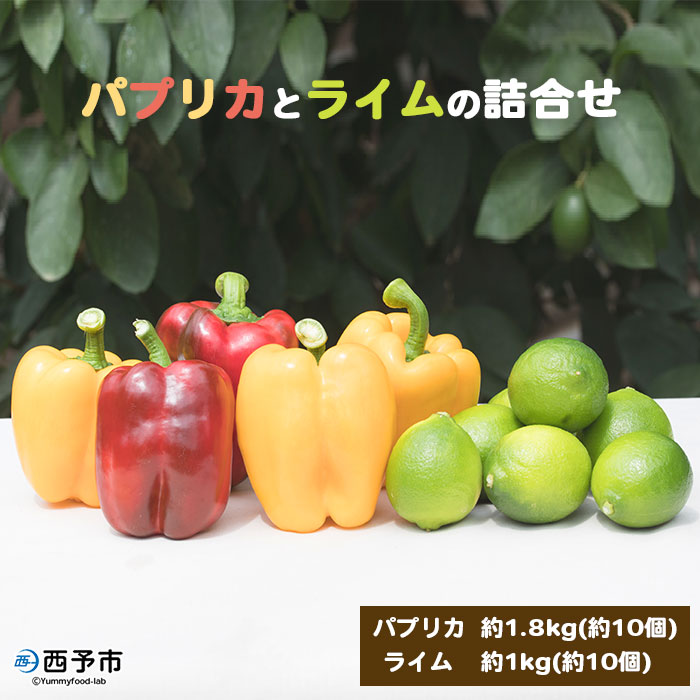 ＜パプリカとライムの詰合せ パプリカ(約1.8kg)ライム(約1kg)＞※1か月以内に順次出荷 野菜 南予園芸 果物 食べて応援 特産品 愛媛県 西予市 【常温】