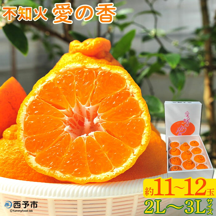 先行予約 ＜不知火「愛の香」2L～3Lサイズ 約11玉～12玉＞ しらぬい みかん 甘い おいしい フルーツ 果物 柑橘類 のし対応可 お祝い 御祝 内祝い ギフト 贈答 南予園芸 特産品 食べて応援 愛媛県 西予市【常温】『2024年2月下旬～3月中旬迄に順次出荷予定』