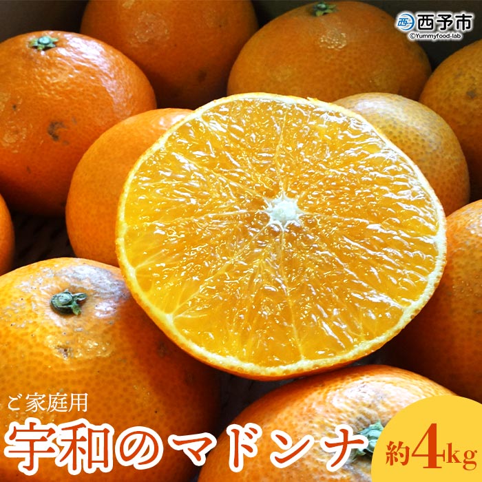 紅まどんなと同品種！＜宇和のマドンナ 約4kg ご家庭用＞ 訳あり 自宅用 フルーツ 果物 柑橘 みかん ミカン 蜜柑 愛媛果試第28号 南予園芸 特産品 産地直送 愛媛県 西予市【常温】『2023年12月中旬～2024年1月中旬迄に順次出荷予定』