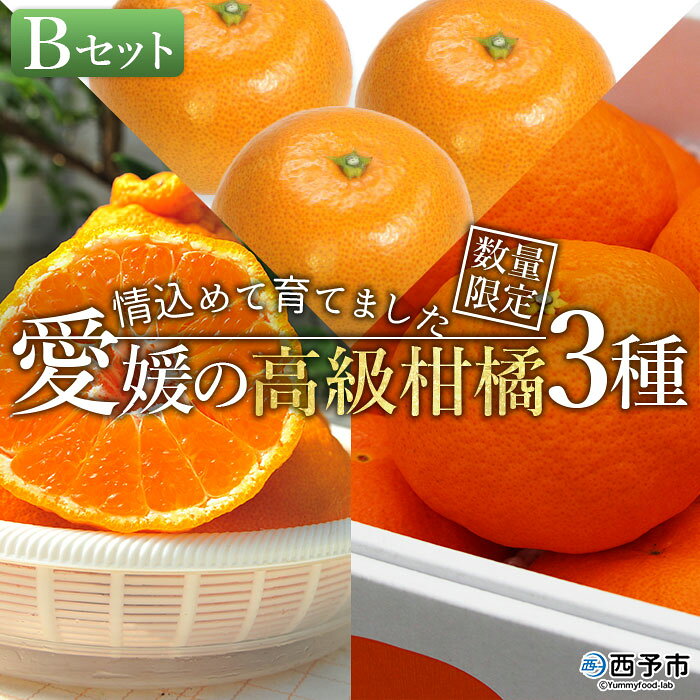数量限定＜南予園芸 愛媛の高級柑橘 3種セットB＞ フルーツ 果物 柑橘 みかん ミカン 蜜柑 デコポン 津の望み 甘平 特産品 愛媛県 西予市 【常温】『2023年2月中旬～2月下旬迄に順次出荷予定』