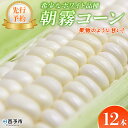 【ふるさと納税】【先行予約】<朝霧(あさぎり)コーン 12本> 国産 雪の妖精 ホワイトコーン 白い 白 とうもろこし 幻のとうもろこし 生で食べられる 甘い 糖度が高い 朝霧コーン 野菜 株式会社ノムランド 愛媛県 西予市【冷蔵】『2025年8月中旬~10月迄に順次出荷予定』(4)