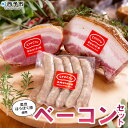 【ふるさと納税】<奥地ほうぼく豚を使ったベーコンセット>豚肉 ぶた お肉 加工品 おつまみ おかず ベーコン 七味ベーコン ボイルウインナー バラ肉 ブロック 詰合せ BBQ アウトドア キャンプ サラダ 愛媛県 西予市 【冷蔵】『3か月以内に順次出荷予定』