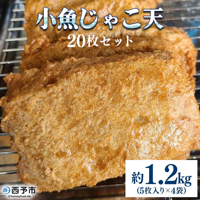 【ふるさと納税】<小魚じゃこ天 20枚セット 合計約1.2kg(5枚入り×4袋)> じゃこてん てんぷら 練り物 練り製品 かまぼこ おかず 惣菜 珍味 特産品...