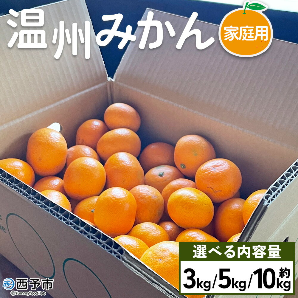 【ふるさと納税】＜温州みかん ご家庭用 約3kg／5kg／10kg＞ 訳あり わけあり 自宅用 果物 フルーツ みかん ミカン 蜜柑 オレンジ 柑橘 うんしゅう ウンシュウ 選べる 食べて応援 特産品 柑橘園柴田 愛媛県 西予市【常温】『2024年11月上旬～12月下旬迄に順次出荷予定』
