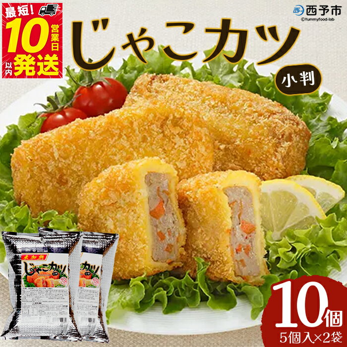 【ふるさと納税】<じゃこカツ小判(未加熱)5個入り×2袋> 合計10個 お惣菜 小魚 さかな 魚介 すり身 じゃこ天 フライ 揚げ物 加工品 特産品 おつまみ おかず お弁当 バーガー カレー 国産 おがた蒲鉾 愛媛県 西予市 【冷凍】『最短10営業日以内に順次発送予定』