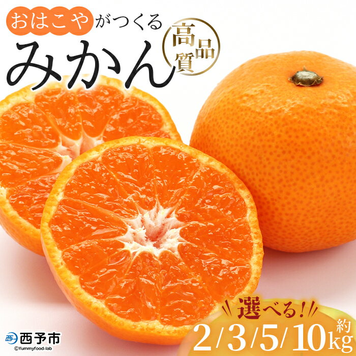 【ふるさと納税】<おはこやがつくる 高品質みかん 約2kg/3kg/5kg/10kg(S~Lサイズ)> 果物 くだもの フルーツ 柑橘 みかん ミカン 蜜柑 まろやか 絶妙 特産品 西宇和 おはこや 愛媛県 西予市 【常温】『2025年11月中旬から12月中旬迄に順次出荷予定』