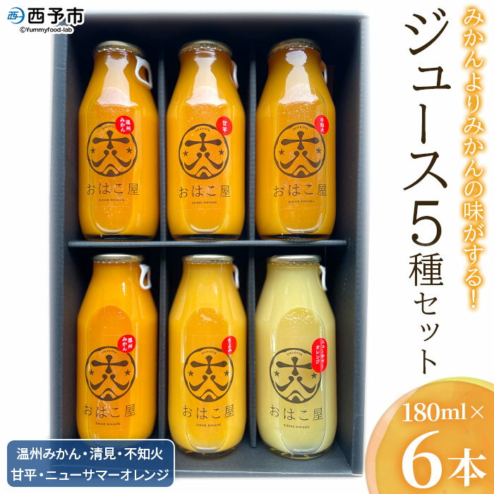 【ふるさと納税】＜おはこやのジュース飲み比べ 5種セット 1