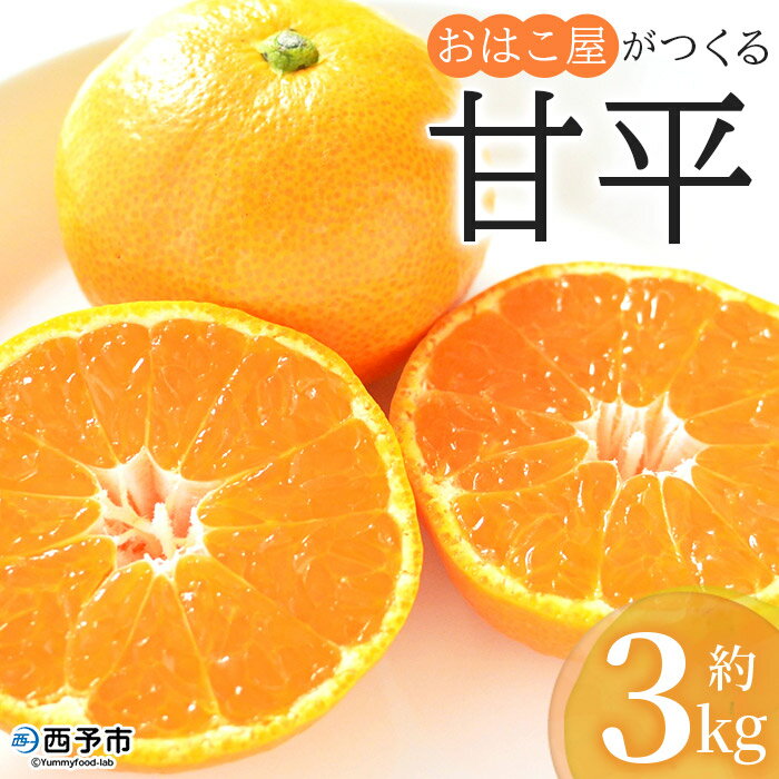 【ふるさと納税】＜おはこ屋がつくる 甘平 約3kg（L〜3Lサイズ）＞ 果物 フルーツ 柑橘 カンペイ みかん ミカン 蜜柑 特産品 愛媛県 西予市 【常温】『2024年2月から順次出荷予定』･･･