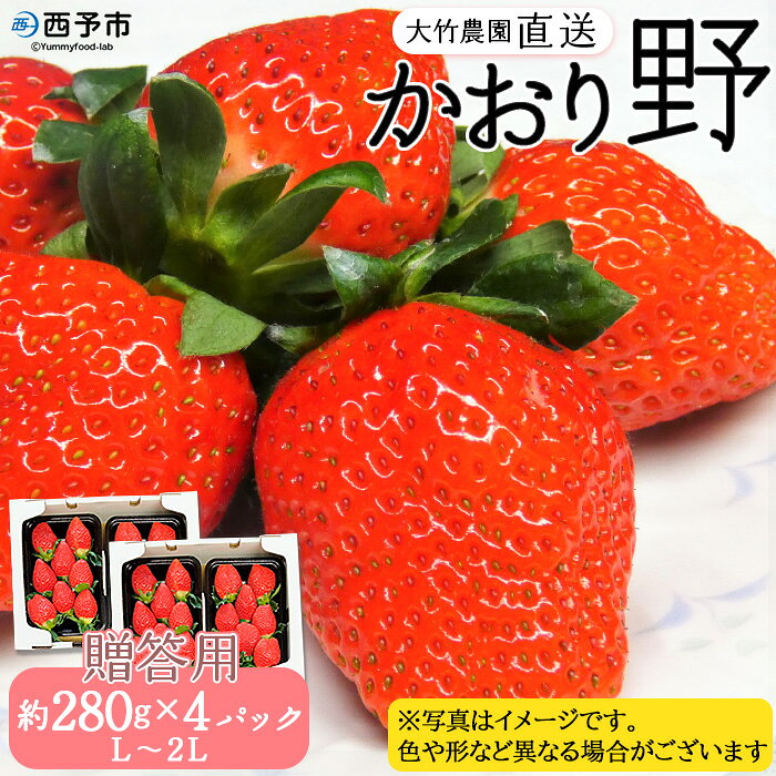 ＜イチゴ「かおり野」約280g×4パック（L～2Lサイズ）大竹農園直送＞ 贈答用 ギフト いちご 苺 果物 フルーツ 中粒 大粒 特産品 大竹農園 愛媛県 西予市 【冷蔵】『2024年1月～4月迄に順次出荷予定』