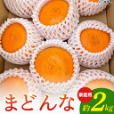 【ふるさと納税】先行予約 紅まどんなと同品種!<まどんな 家庭用 約2kg> 柑橘 みかん ミカン 蜜柑 果物 フルーツ オレンジ 紅マドンナ マドンナ 訳あり 国産 愛媛産 特産品 おれんじはーと 食べて応援 西宇和 愛媛県 西予市 【常温】『2025年12月から順次出荷予定』