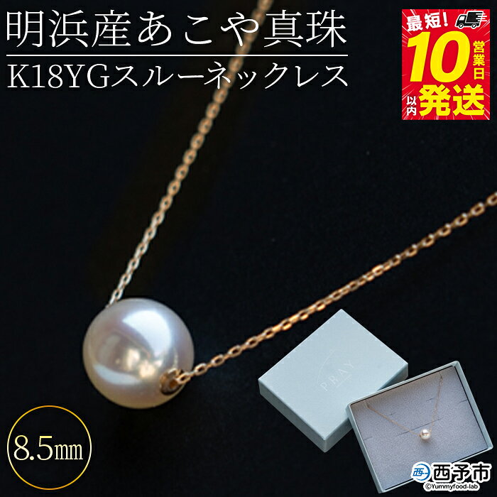 Rakuten - 【ふるさと納税】＜明浜産あこや真珠8.5mm K18YGスルーネックレス＞『最短10日営業日以内に発送予定』アコヤ真珠 パール ジュエリー アクセサリー プレゼント ギフト 贈答 記念日 品質保証書付き ナチュラルカラー PRAY akoyapearl 愛媛県 西予市 【常温】