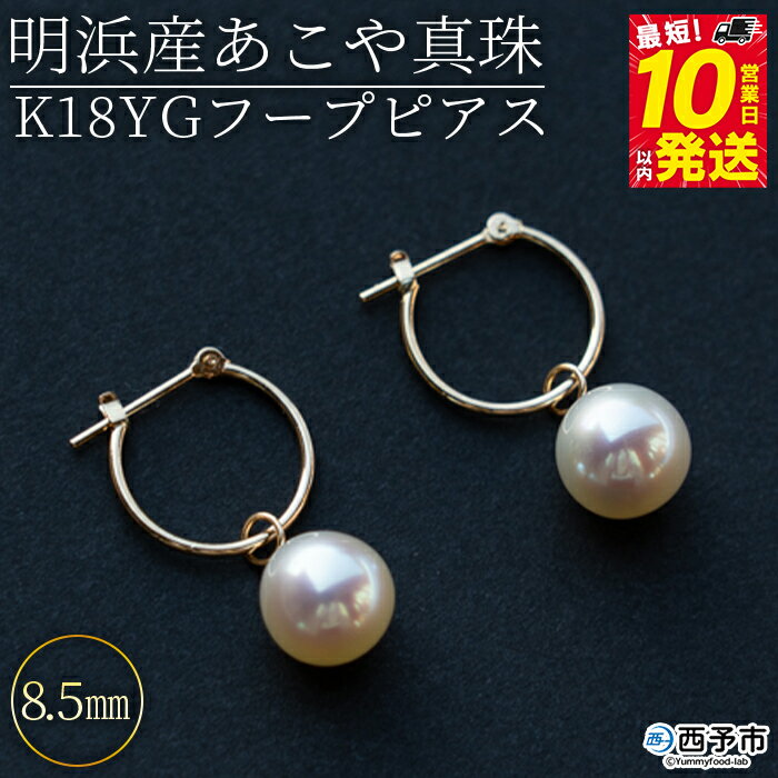 ＜明浜産あこや真珠8.5mm K18YGフープピアス＞『最短10日営業日以内に発送』アコヤ真珠 パール パールチャーム ジュエリー アクセサリー プレゼント ギフト 贈答 記念日 品質保証書付き ナチュラルカラー シンプル PRAY akoyapearl 愛媛県 西予市 【常温】