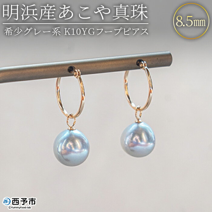 12位! 口コミ数「0件」評価「0」＜明浜産あこや真珠8.5mm 希少グレー系 K10YGフープピアス＞ アコヤ真珠 パール チャーム ジュエリー アクセサリー プレゼント ギ･･･ 