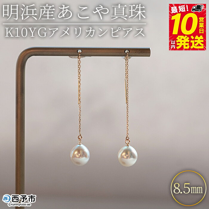 ＜明浜産あこや真珠8.5mm K10YGアメリカンピアス＞『最短10日営業日以内に発送予定』アコヤ真珠 パール ドロップ型 ジュエリー アクセサリー プレゼント ギフト 贈答 記念日 品質保証書付き ナチュラルカラー PRAY akoyapearl 愛媛県 西予市 【常温】