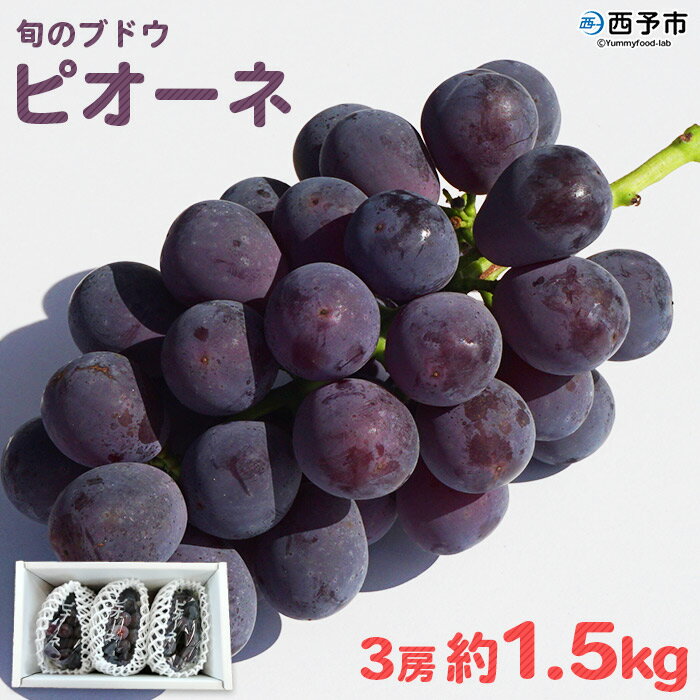 【ふるさと納税】予約受付＜旬のブドウ「ピオーネ」2kg＞※2022年8月中旬から順次出荷（予定）。 果物 フルーツ ぶどう 葡萄 食べて応援 特産品 愛媛県 西予市 【常温】のサムネイル