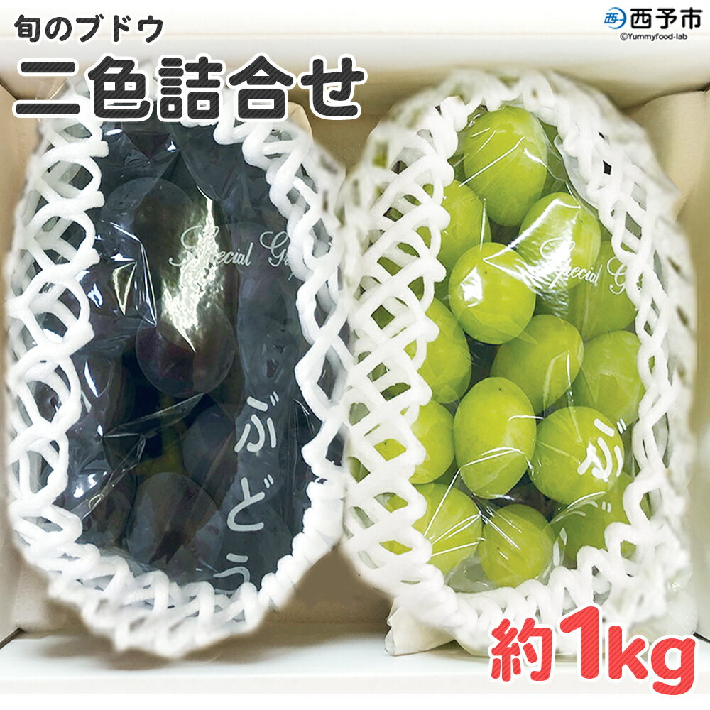 【ふるさと納税】＜旬のブドウ 西予市産 二色詰合せセット 約1kg＞ 果物 フルーツ ぶどう 葡萄 2種類 セット 詰め合わせ つめあわせ 食べ比べ お楽しみ 期間限定 季節限定 食べて応援 特産品 愛媛県 西予市【冷蔵】『2026年8月中旬～9月上旬迄に順次出荷予定』