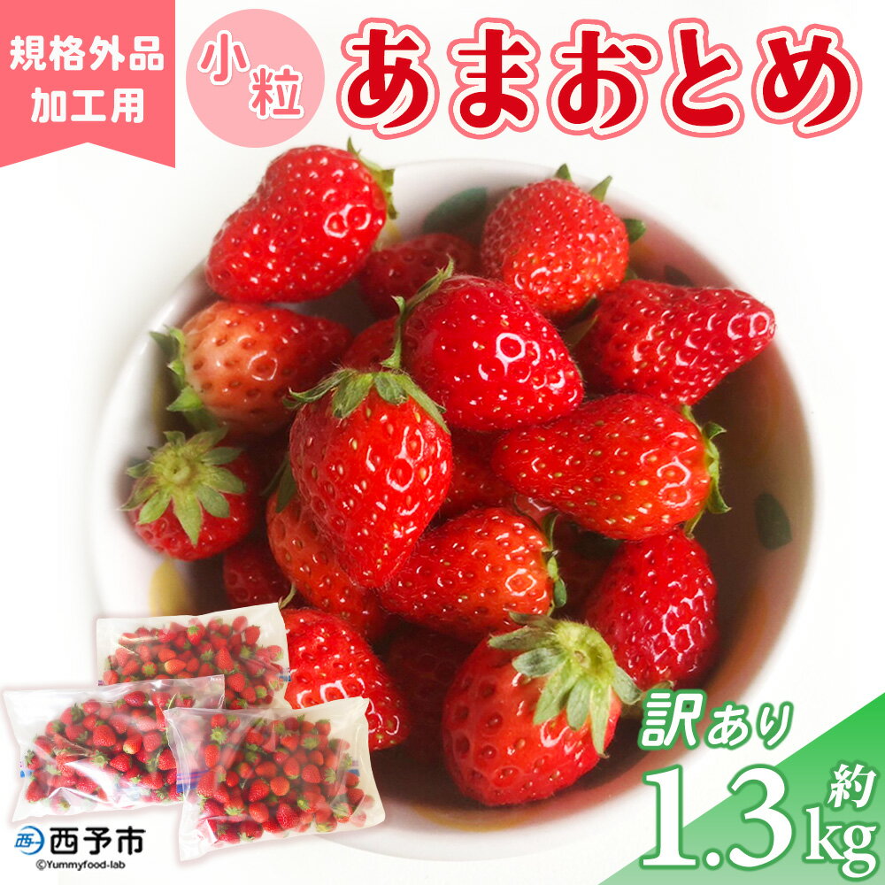 【ふるさと納税】＜訳あり いちご あまおとめ 約1.3kg 小粒 加工用 冷蔵 規格外品＞ 国産 サ ...