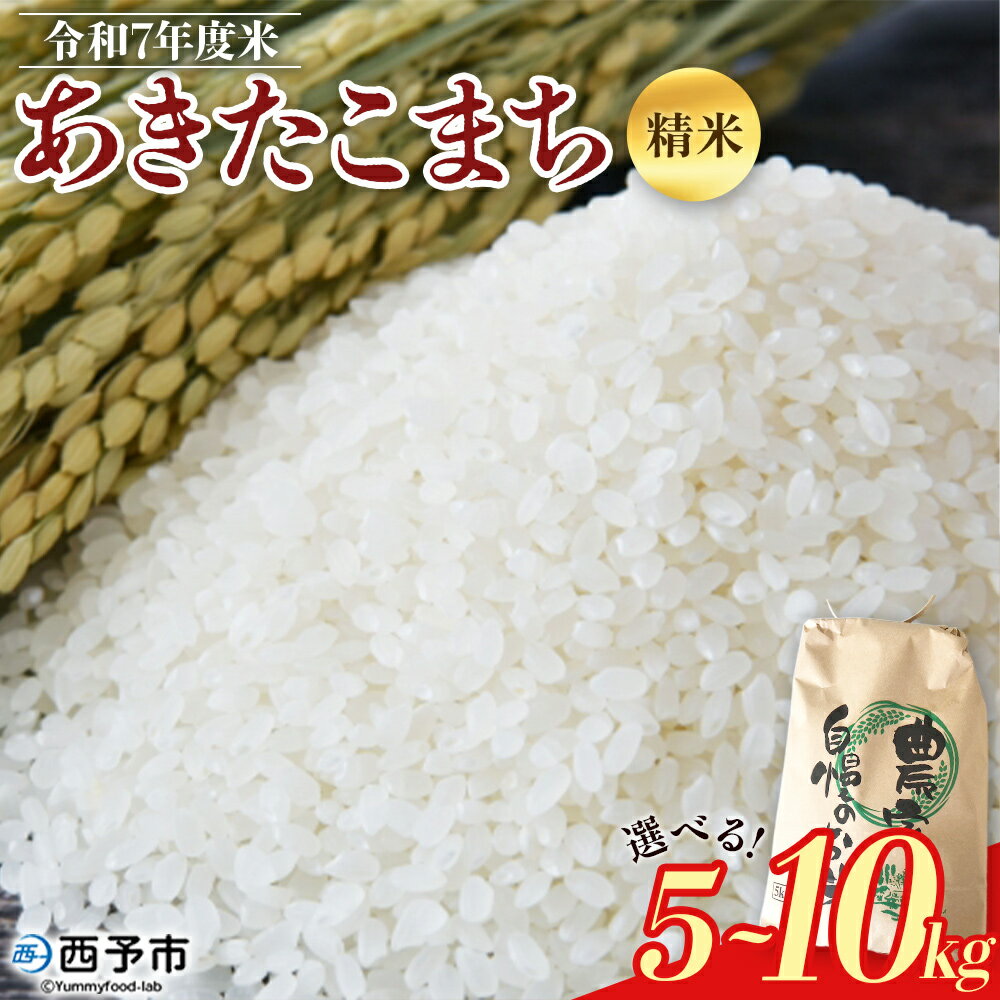 【ふるさと納税】【先行予約】新米 ＜令和7年度 米 あきたこまち 精米 5kg/10kg＞ 2025年産 単一原料米 単一米 5キロ 10キロ アキタコマチ お米 コメ こめ 白米 ご飯 ライス りの果樹園 愛媛県 西予市【常温】『2025年10月頃から順次出荷予定』