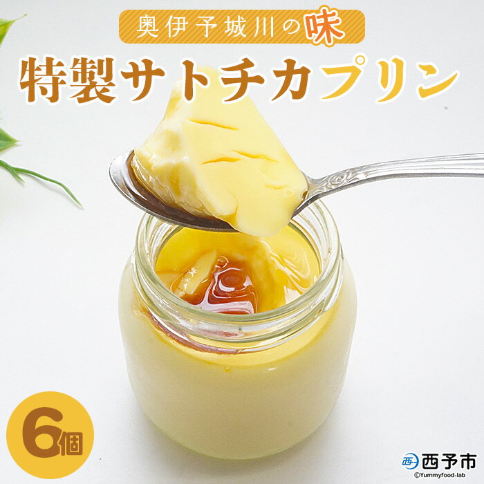 9位! 口コミ数「0件」評価「0」＜奥伊予城川の味 特製サトチカプリン 100g×6個＞ スイーツ デザート ぷりん おやつ ティータイム のし対応可 お祝い 内祝い ギフト･･･ 