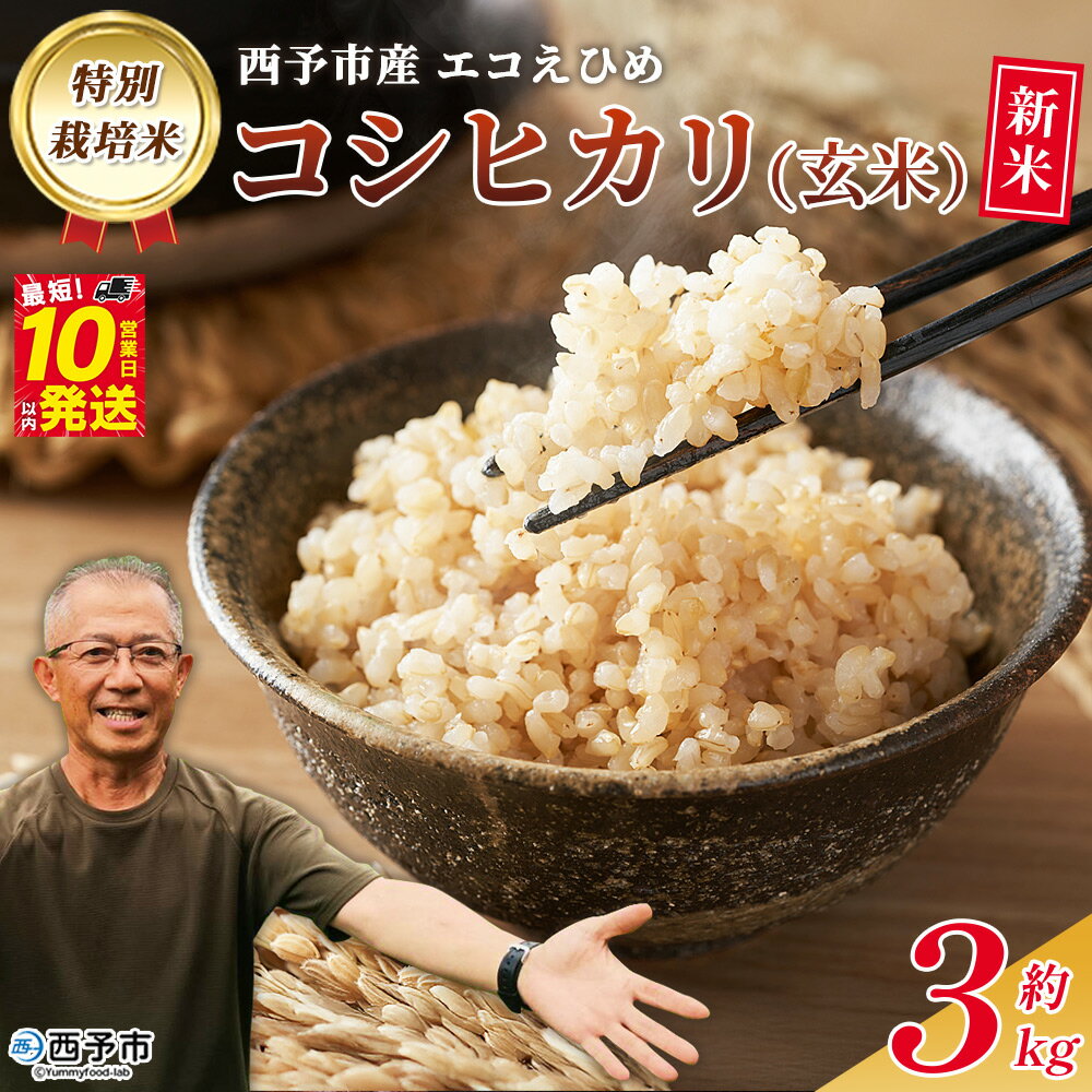 新米[令和7年産 西予市産 特別栽培米 エコえひめ コシヒカリ 玄米 約3kg]国産 農薬・化学肥料不使用 一等米 3キロ 愛媛県産 こしひかり お米 米 コメ げんまい 産地直送 送料無料 シゲちゃん農園 愛媛県 西予市[常温]『最短10営業日以内に順次発送予定』