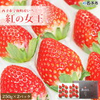 【ふるさと納税】＜いちご 紅の女王 500g(250g×2パック)＞ 西予市宇和町産 果物 苺 イチゴ フルーツ 食べて応援 特産品 苺園 frago 愛媛県 西予市 【冷蔵】『2023年11月下旬～2024年5月末迄に順次出荷予定』