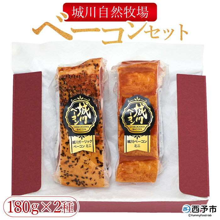 19位! 口コミ数「1件」評価「5」＜城川自然牧場 ベーコンセット（180g×2種）＞ 城川ガーリックベーコン 豚肉 厚切り 国産 詰め合わせ 加工品 城川ファクトリー 特産品･･･ 