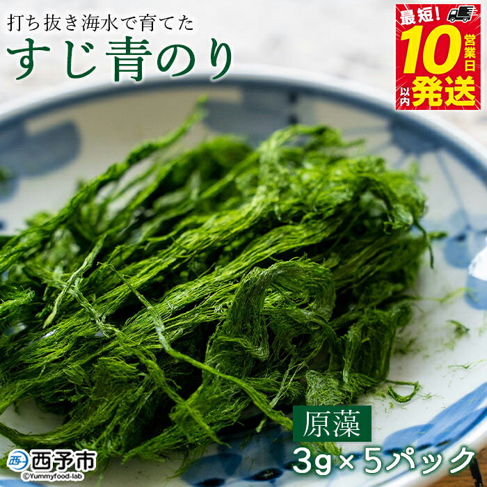 [打ち抜き海水で育てた「すじ青のり」(原藻3g×5パック)] 甲殻類アレルギーフリー 色づけ 香りづけ お好み焼き たこ焼き 焼きそば おはぎ ピザ お吸い物 茶碗蒸し 佐藤真珠 愛媛県 西予市[常温]『最短10営業日以内に順次発送予定』
