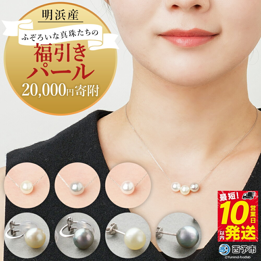 保証書付[明浜産 ふぞろいな真珠たちの福引パール(20,000円寄附)] 8.0〜9.0mm 純国産 高品質 アコヤ真珠 パール 福袋 あこや ネックレス ピアス イヤリング アクセサリー 明浜産 佐藤真珠 cosmic 愛媛県 西予市[常温]『最短10営業日以内に発送予定』