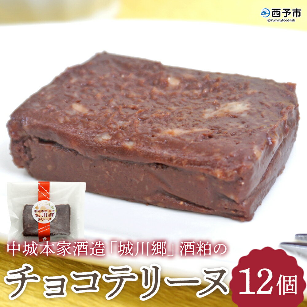 [中城本家酒造「城川郷」酒粕のチョコテリーヌ 12個] とろんと滑らか食感 お酒好き お菓子 焼き菓子 洋菓子 おやつ デザート お取り寄せ 詰合せ 詰め合わせ 個包装 美味しい ギフト スイーツ工房絹 愛媛県 西予市[冷凍]『1か月以内に順次出荷予定』