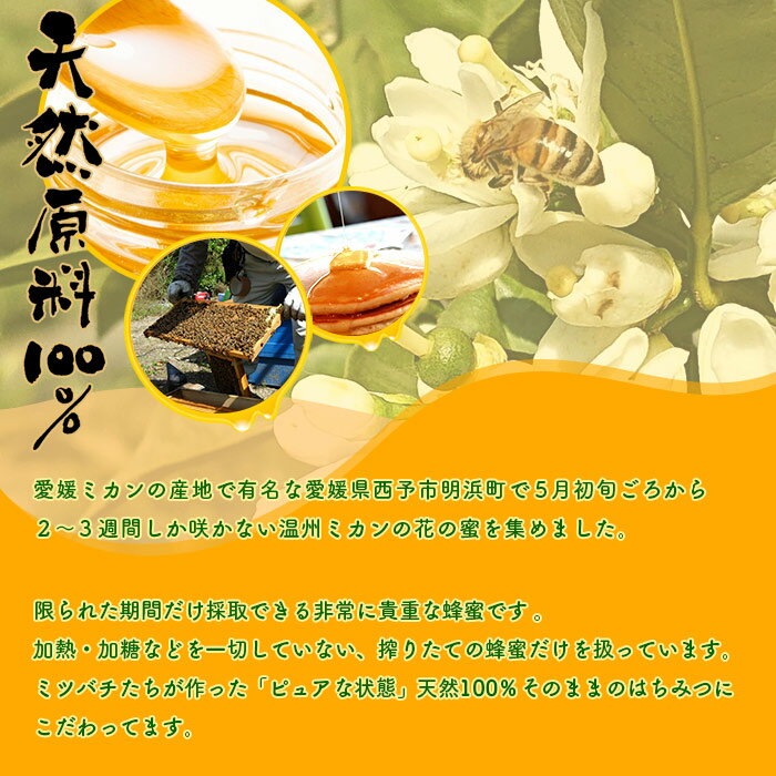 【ふるさと納税】＜みかん蜂蜜「ジオハニー」170g3瓶＞※1か月以内に順次出荷 はちみつ みかん 柑橘 非加熱 純粋100％ 愛媛県 西予市 【常温】