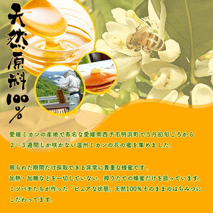 【ふるさと納税】＜みかん蜂蜜「ジオハニー」170g2瓶＞※1か月以内に順次出荷 はちみつ みかん 柑橘 非加熱 純粋100％ 愛媛県 西予市 【常温】