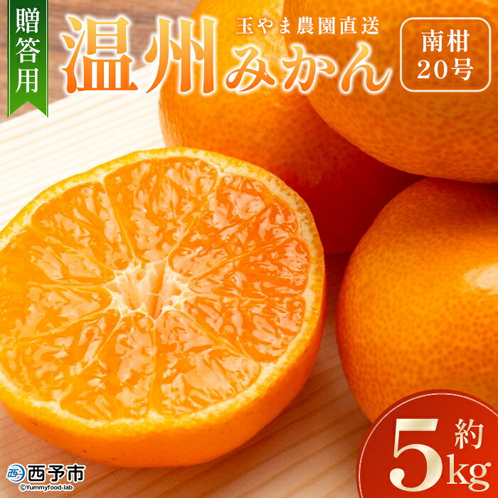 ＜玉やま農園直送 温州みかん 南柑20号 約5kg 贈答用＞ 数量限定 5キロ ミカン なんかん 蜜柑 柑橘 フルーツ 果物 果実 くだもの 特産品 甘い ジューシー 旬 ギフト 愛媛県 西予市【常温】『2024年12月中旬～2025年1月上旬迄に順次出荷予定』