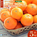 【ふるさと納税】<【訳あり】温州みかん 約5kg 数量限定 産地直送> ワケアリ 家庭用 みかん ミカン うんしゅうみかん ウンシュウ 蜜柑 柑橘 フルーツ 果物 果実 くだもの 特産品 旬 玉やま農園 愛媛県 西予市【常温】『2025年11月中旬~12月迄に順次出荷予定』